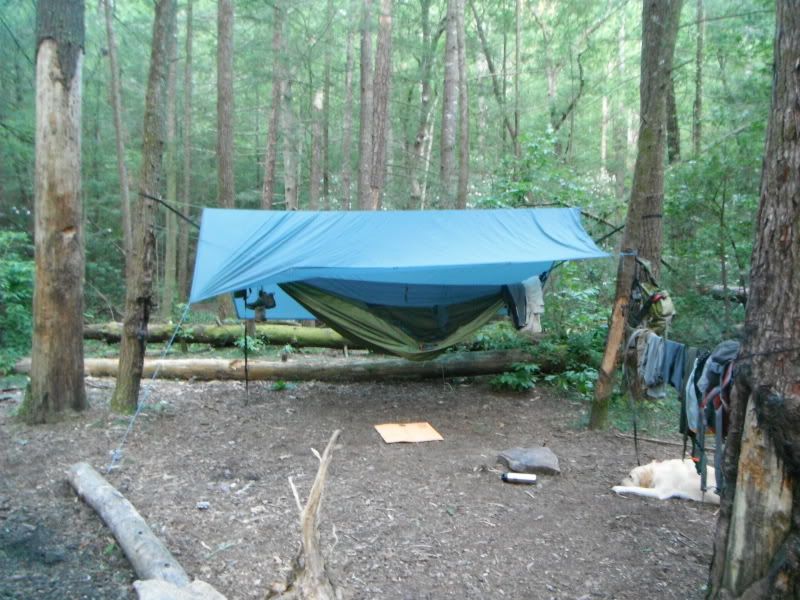 Backpacking Tent Vs. Hammock System Vs. Tarp Page 2 Survivalist Forum